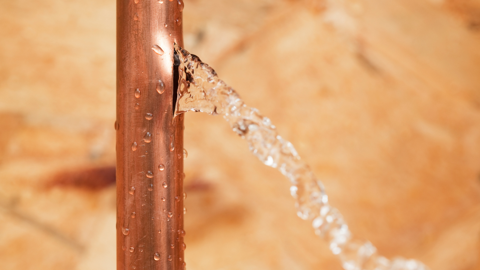 Manutenção preventiva: economize água e evite problemas no encanamento